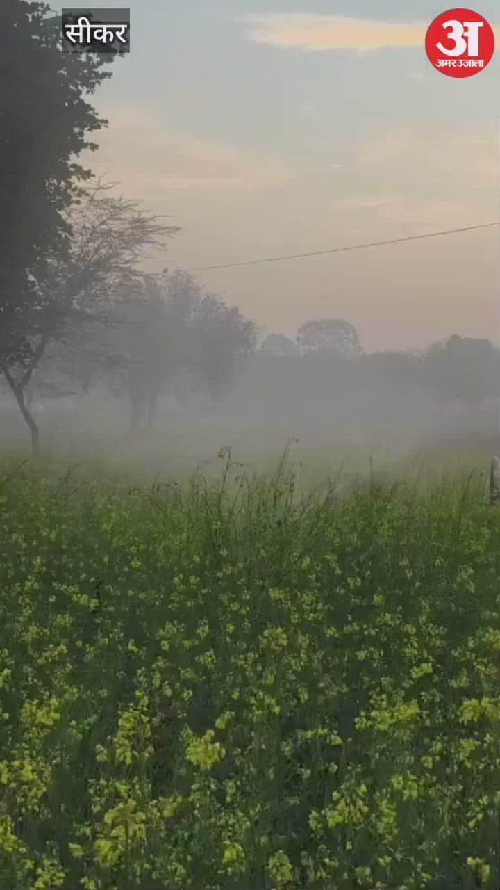 There will be rain in Shekhawati on New Year, alert issued...