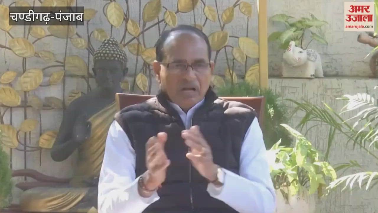 Shivraj Singh Chauhan lashed out at the Mann government for bringing a resolution against the MNREGA amendment bill.