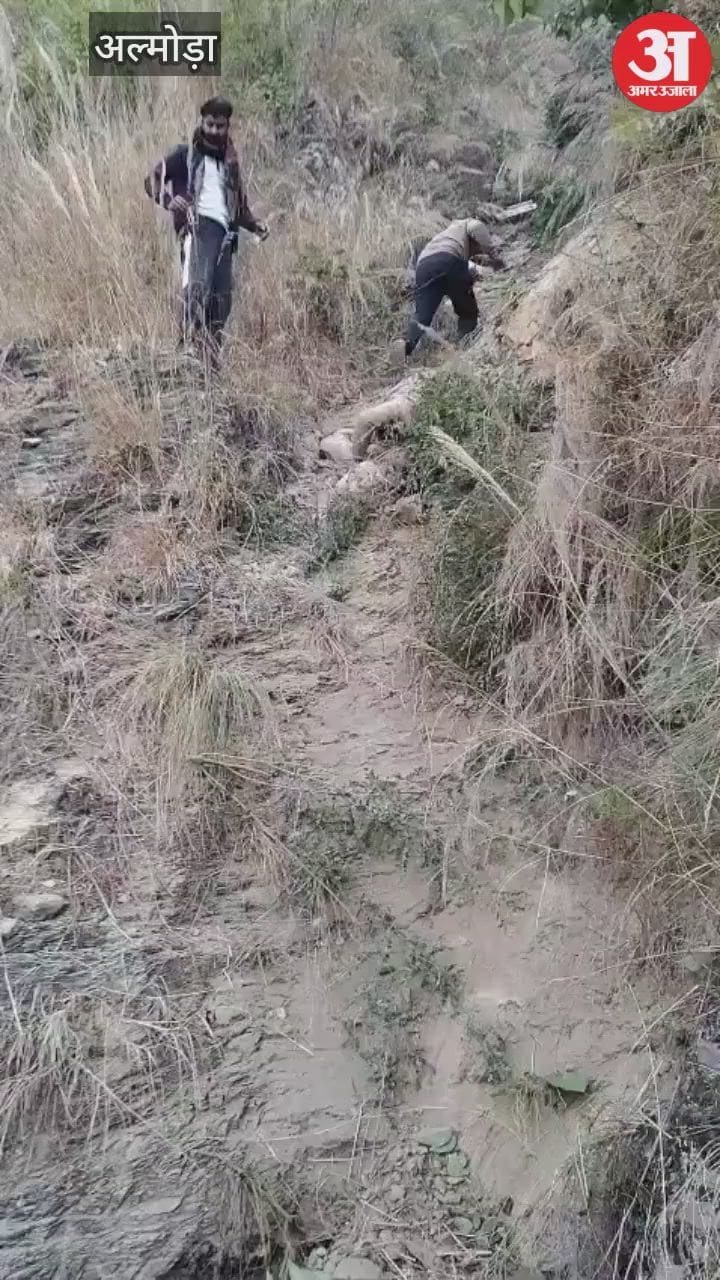 Major road accident in Almora: Bus falls into a gorge...seven dead, several injured