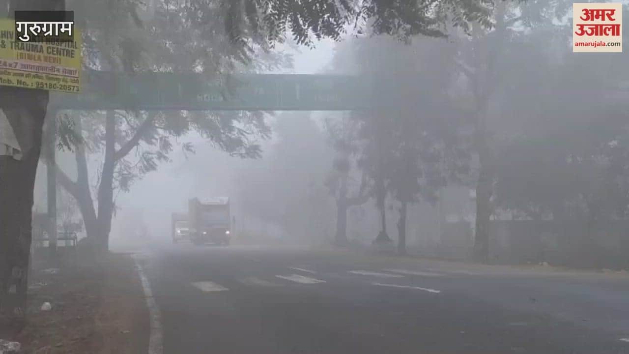 Gurugram Fog in Pataudi increased people worries at night