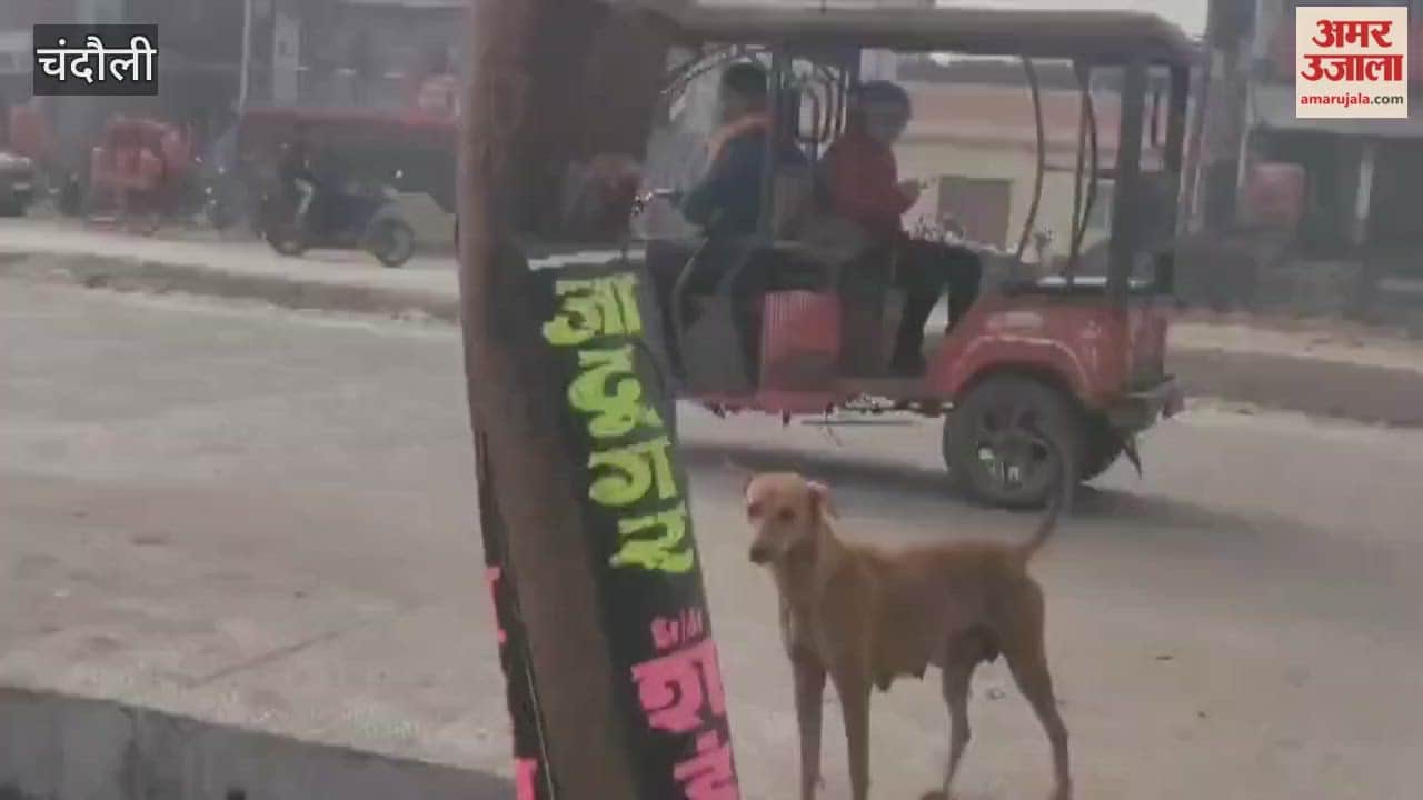 electricity poles are becoming cause of accidents in Chandauli