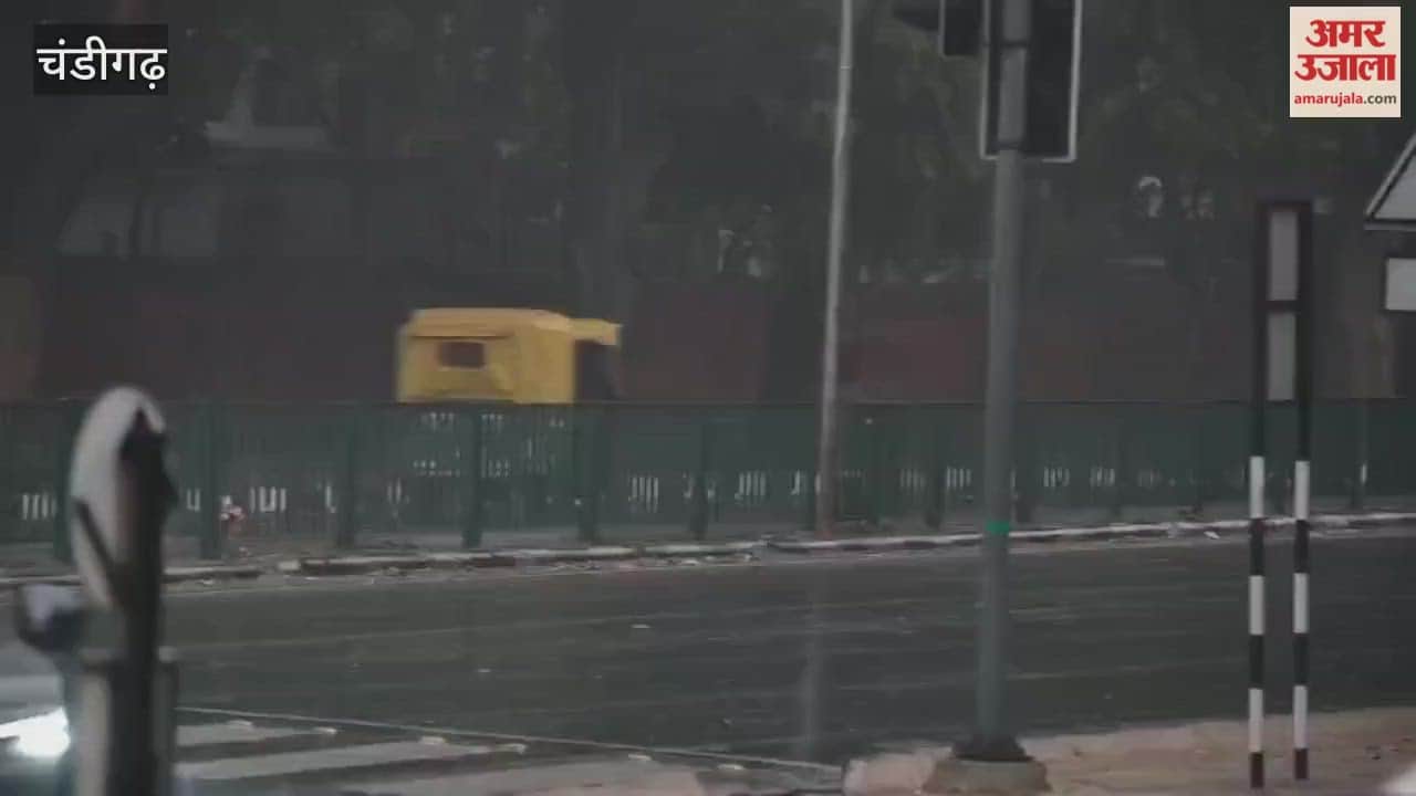 Rain in chandigarh on new year