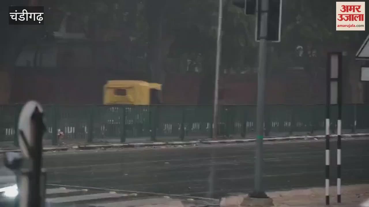 Rain in chandigarh on new year