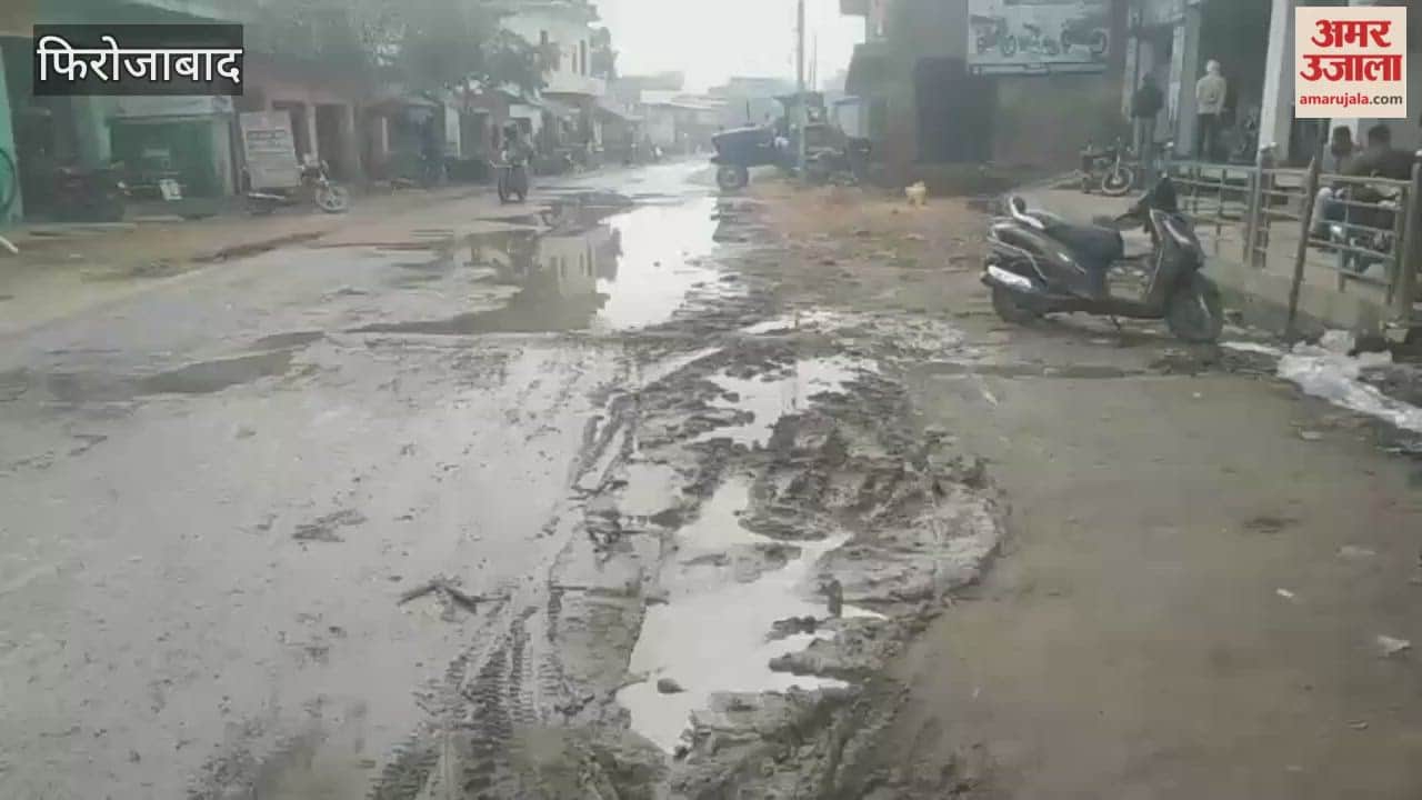 Choked Drain Causes Road Flooding in Hathwant Village of Firozabad