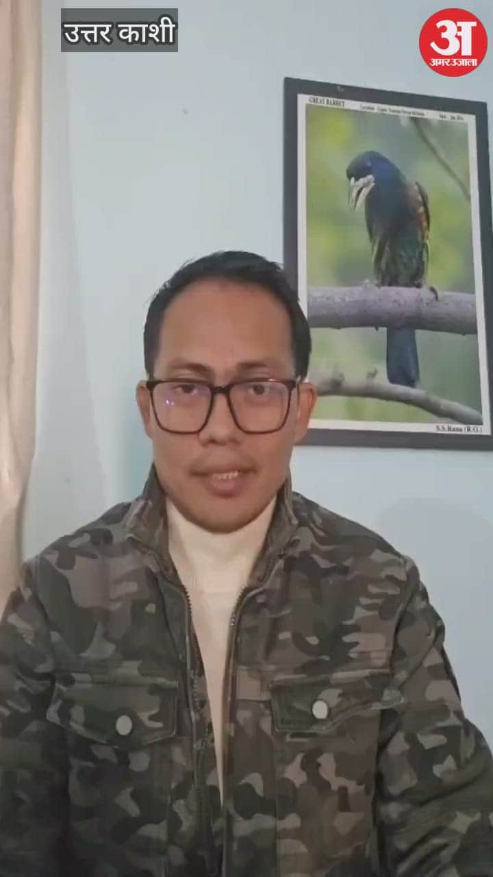 Uttarkashi Video News Sirkeer Malkoha bird spotted for the first time in Upper Yamuna Forest Division