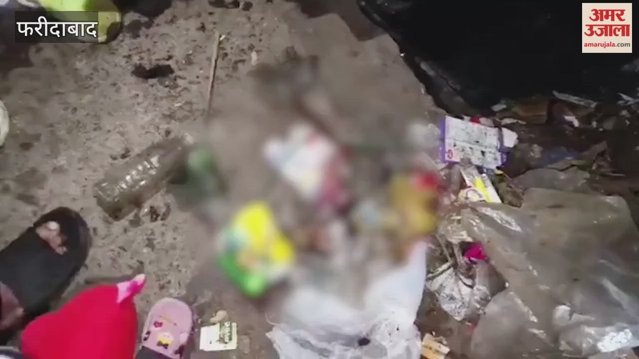 five month old fetus found in drain humanity shamed in Faridabad