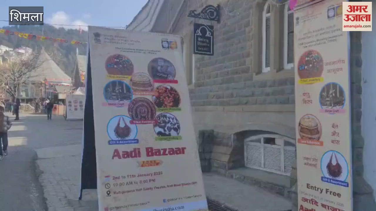 Shimla Tribal products displayed at the Adi Bazaar