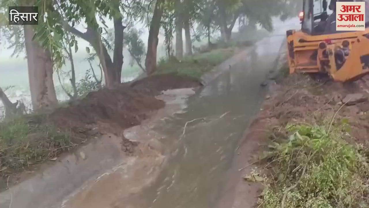 Balsamand minor canal in Hisar has breached, flooding thirty acres of land and damaging wheat and mustard crops.