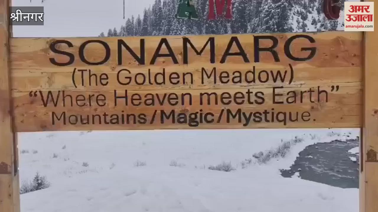 Sonamarg's bled sunshine today  after 3 days of snowfall