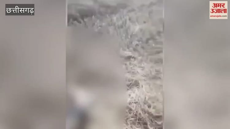 Video: छत्तीसगढ़ में महिला पुलिस के साथ दरिंदगी: दो आरोपी गिरफ्तार, अन्य की तलाश जारी