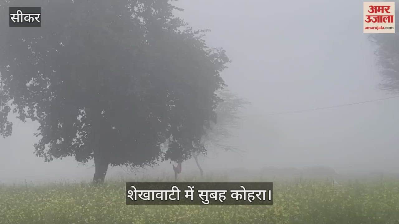 Fog engulfs Shekhawati for the third consecutive day, mercury drops by 9 degrees