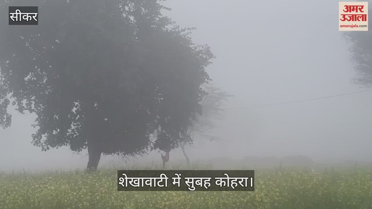 Fog engulfs Shekhawati for the third consecutive day, mercury drops by 9 degrees