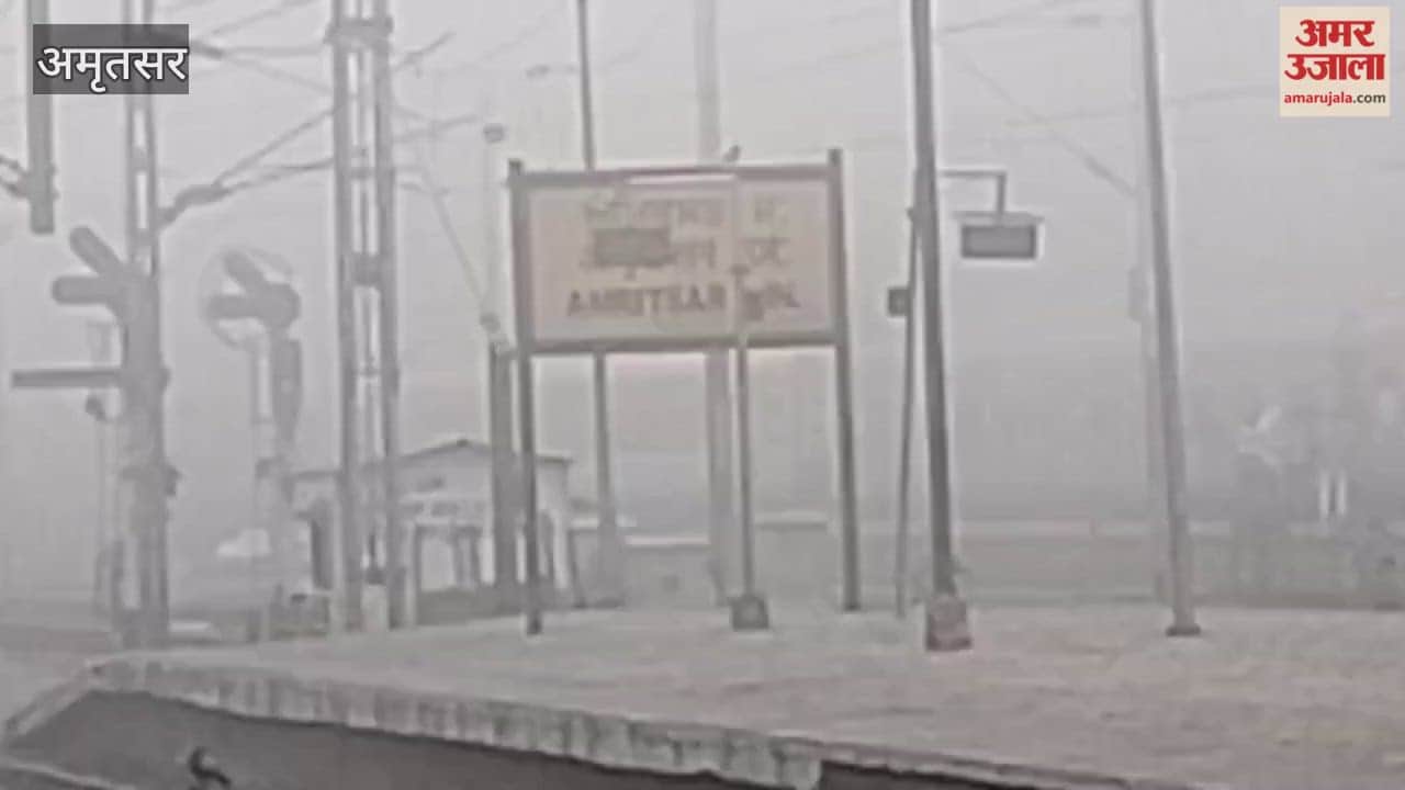 dense fog continues in Amritsar