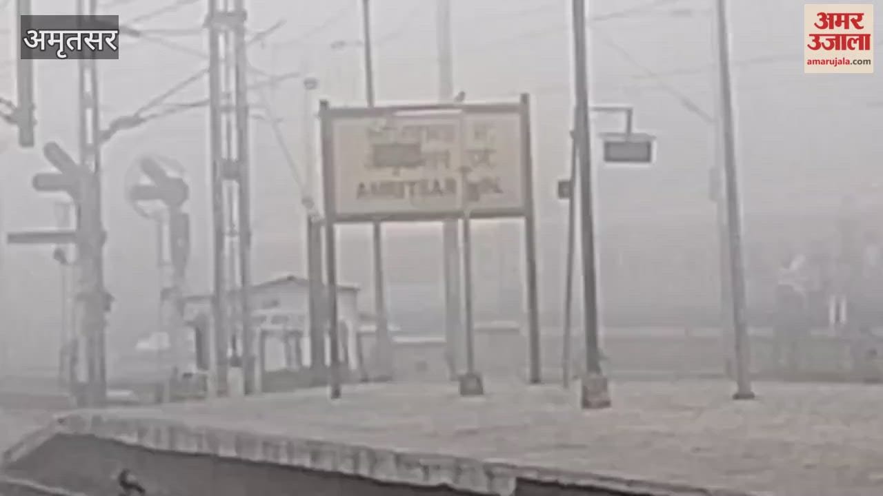 dense fog continues in Amritsar