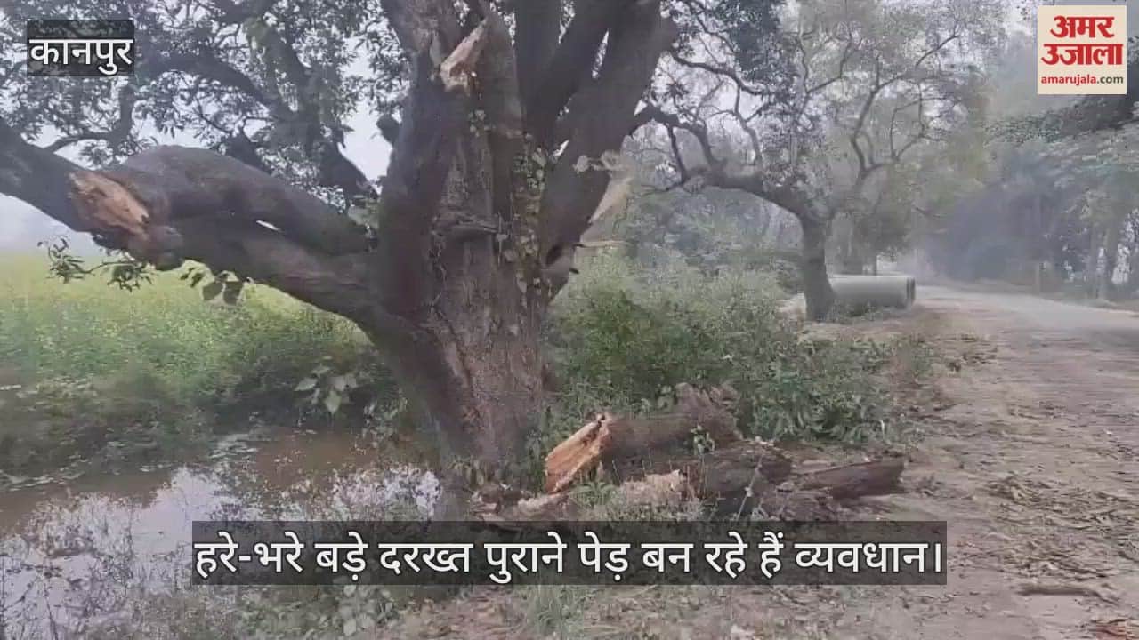 कानपुर: फोरलेन मार्ग निर्माण में पेड़ों की शामत, काटने के लिए चिन्हित किए जा रहे हैं पेड़