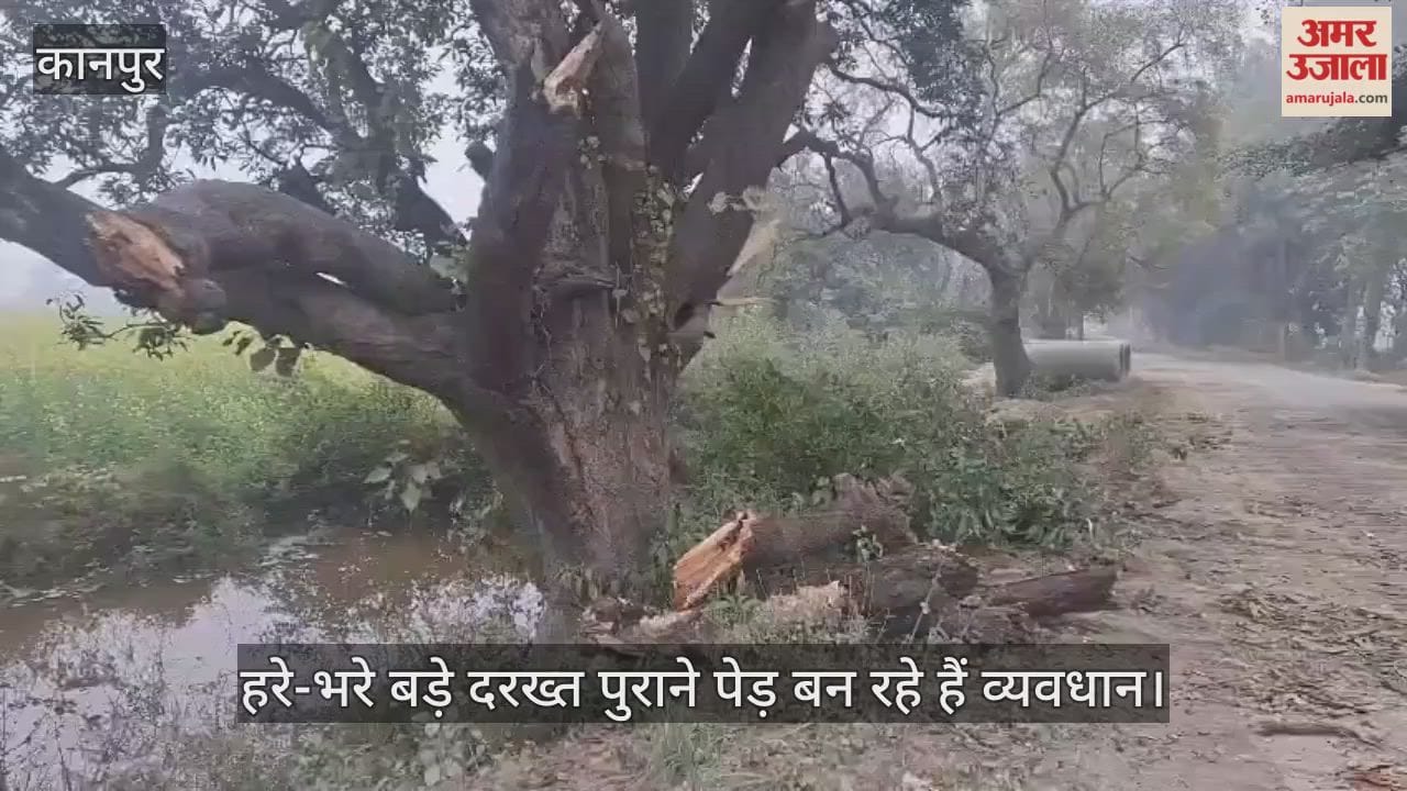 कानपुर: फोरलेन मार्ग निर्माण में पेड़ों की शामत, काटने के लिए चिन्हित किए जा रहे हैं पेड़