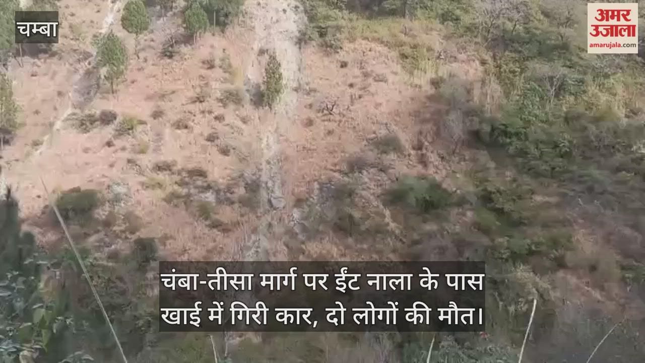 Two people died after a car fell into a ditch near Brick Nala on the Chamba-Tisa road.