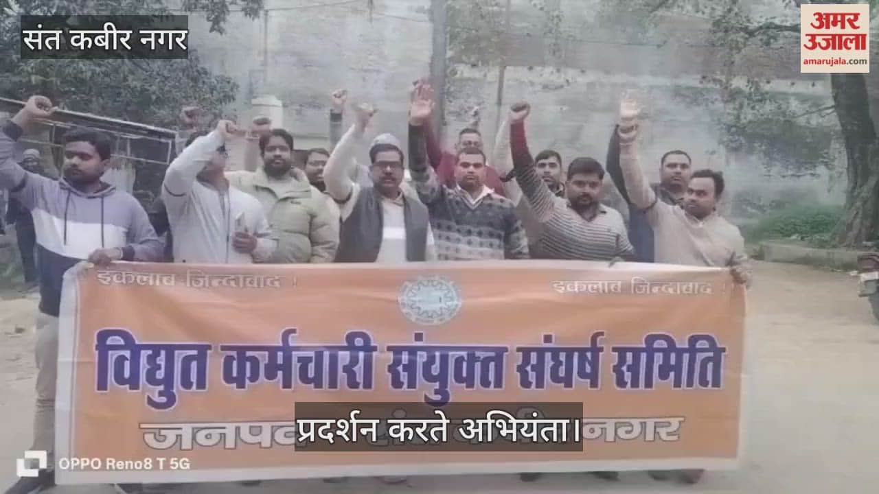 The decision to privatize power corporations should be canceled: Ashish