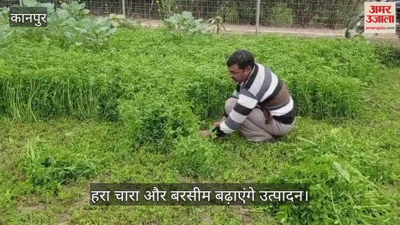 कानपुर: कड़ाके की ठंड में घटा पशुओं का दूध; पशुपालक अपनाएं ये देशी नुस्खे