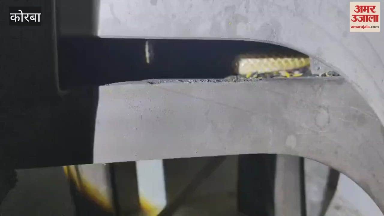 A 5 foot long cobra was found sitting between two chairs the family was terrified upon hearing its hissing  in Korba