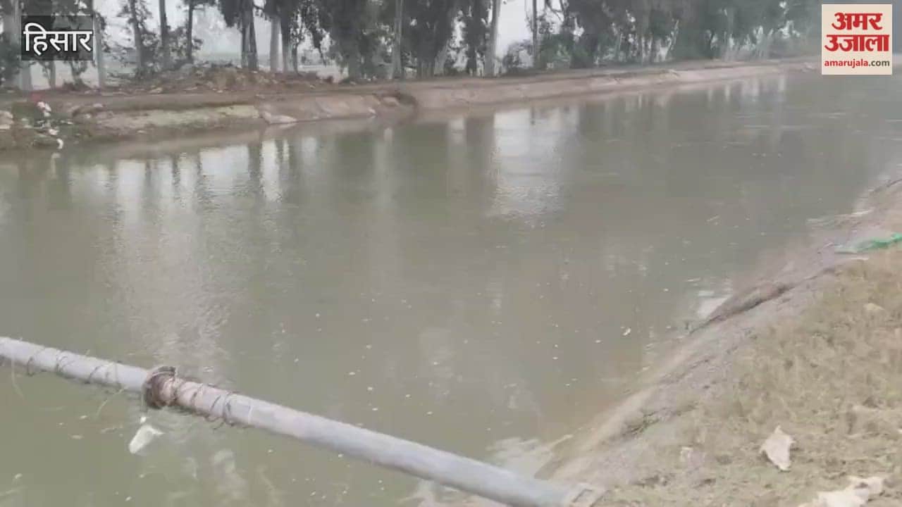 irrigation department in Hisar will release additional 200 cusecs of water, and water reservoirs will be filled through siphons