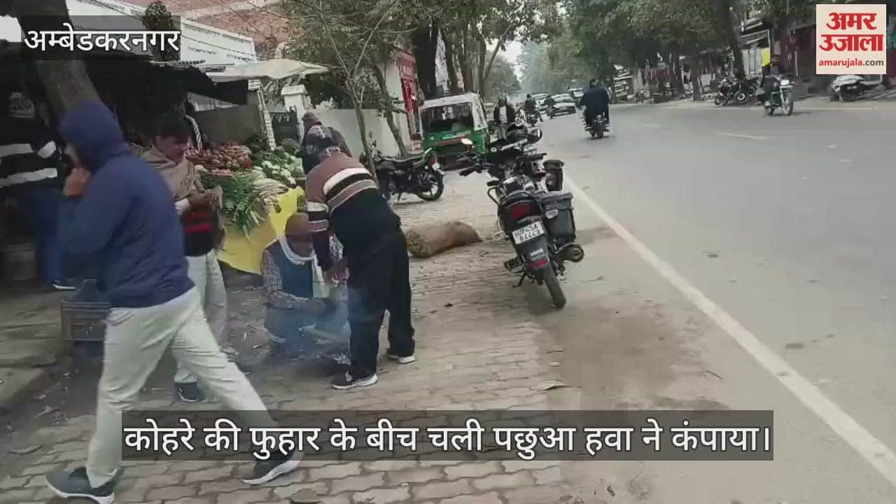 अंबेडकरनगर में कोहरे की फुहार के बीच चली पछुआ हवा ने कंपाया, गलन ने किया बेहाल