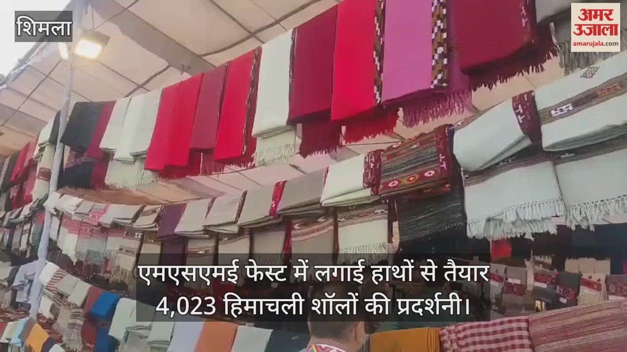 4,023 hand-crafted Himachali shawls on display at MSME Fest