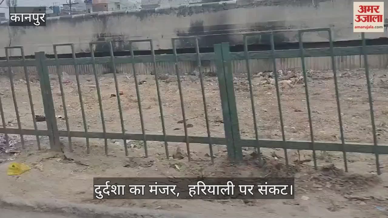 कानपुर: ग्रीन बेल्ट में हरियाली की जगह झाड़ियों का कब्जा; मिट्टी और खरपतवार ने रोका पौधों का दम