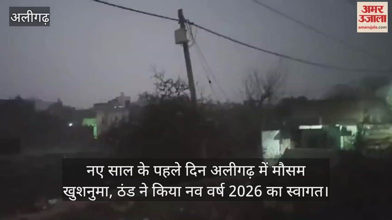 नए साल के पहले दिन अलीगढ़ में मौसम खुशनुमा, ठंड ने किया नव वर्ष 2026 का स्वागत