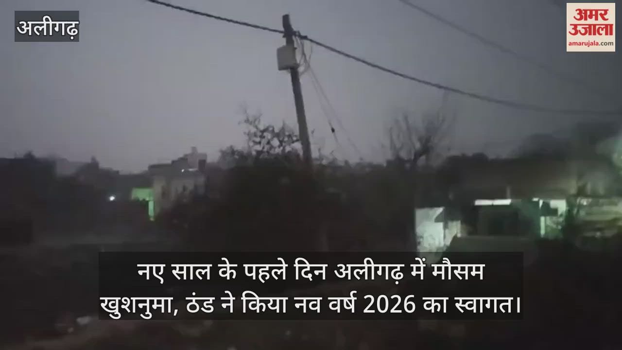 नए साल के पहले दिन अलीगढ़ में मौसम खुशनुमा, ठंड ने किया नव वर्ष 2026 का स्वागत