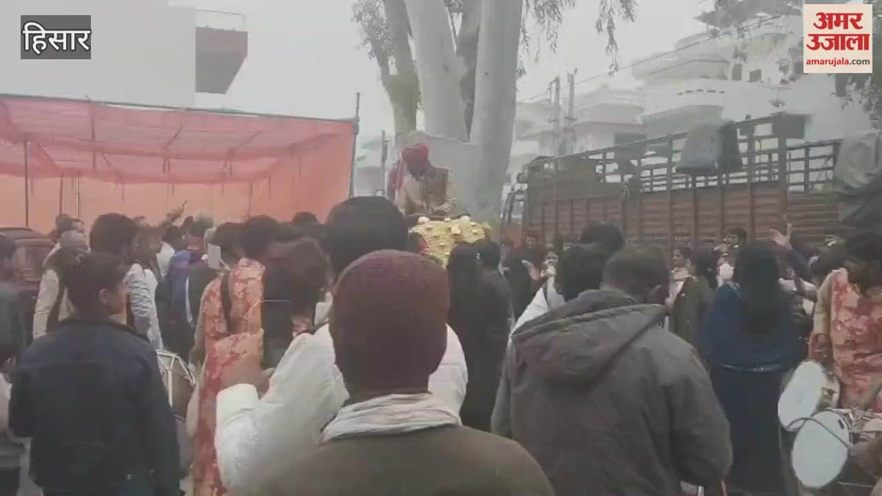 Carpenter Dinanath's farewell on an elephant will be remembered in Hisar