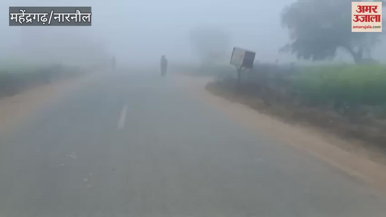 Narnaul welcomed New Year with fog and cold wave