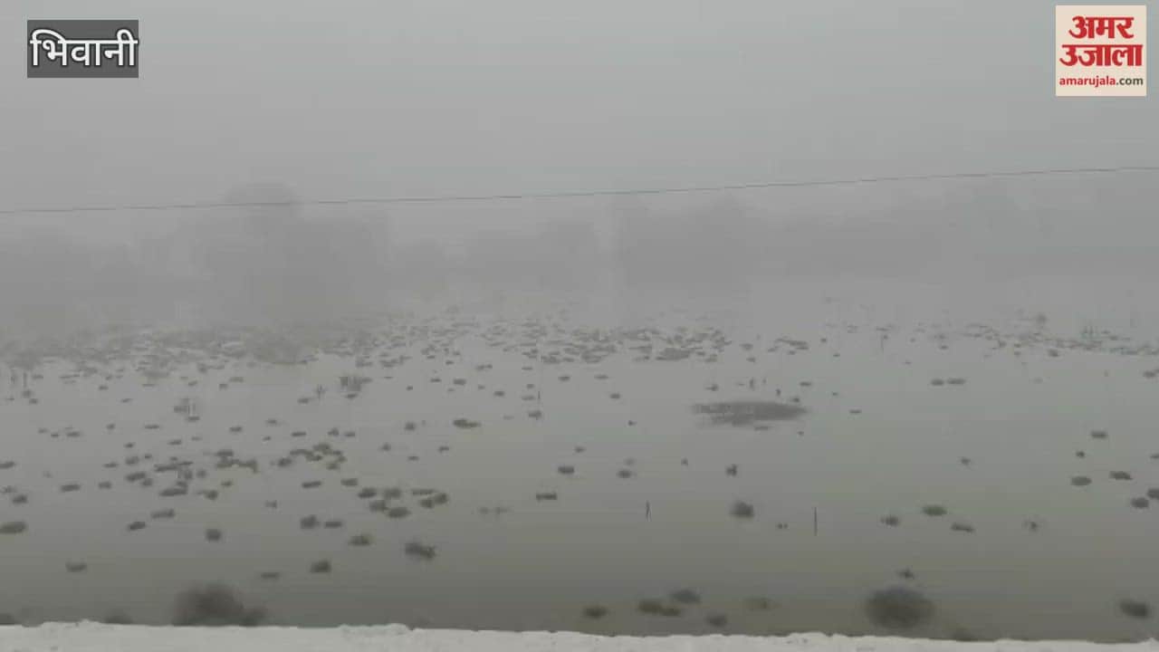 The new year began in Bhiwani with light rain.