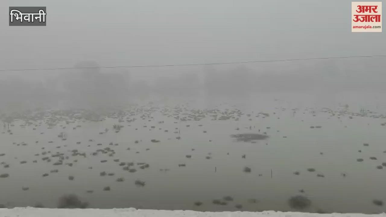 The new year began in Bhiwani with light rain.