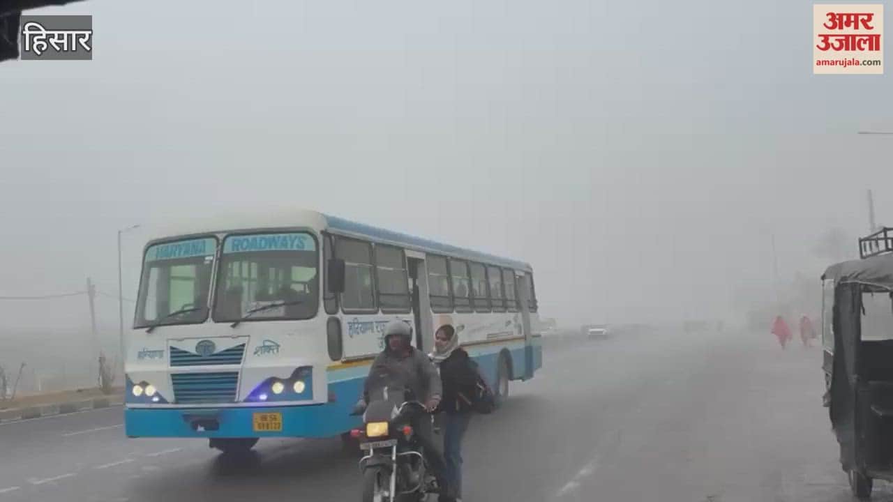 After the rain in Hisar, the weather turned cold, foggy and cloudy