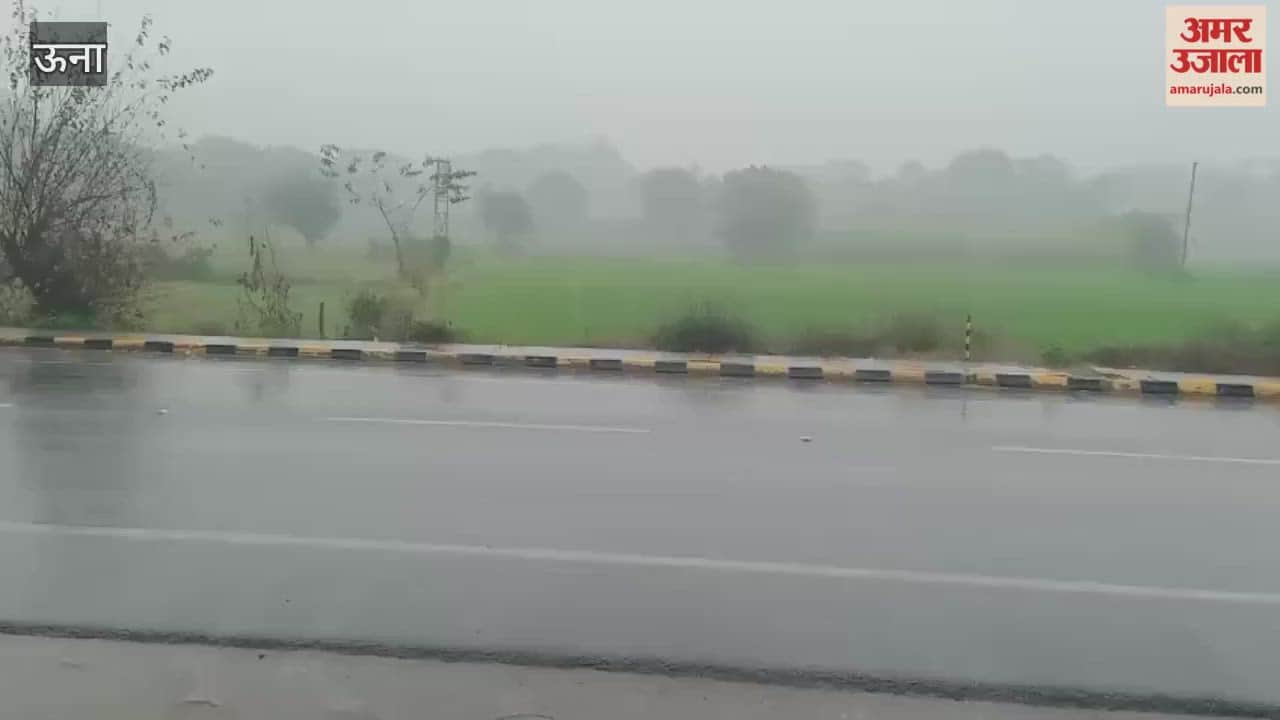 Una After the fog light rain in the Baduhi area brought smiles to the faces of the farmers