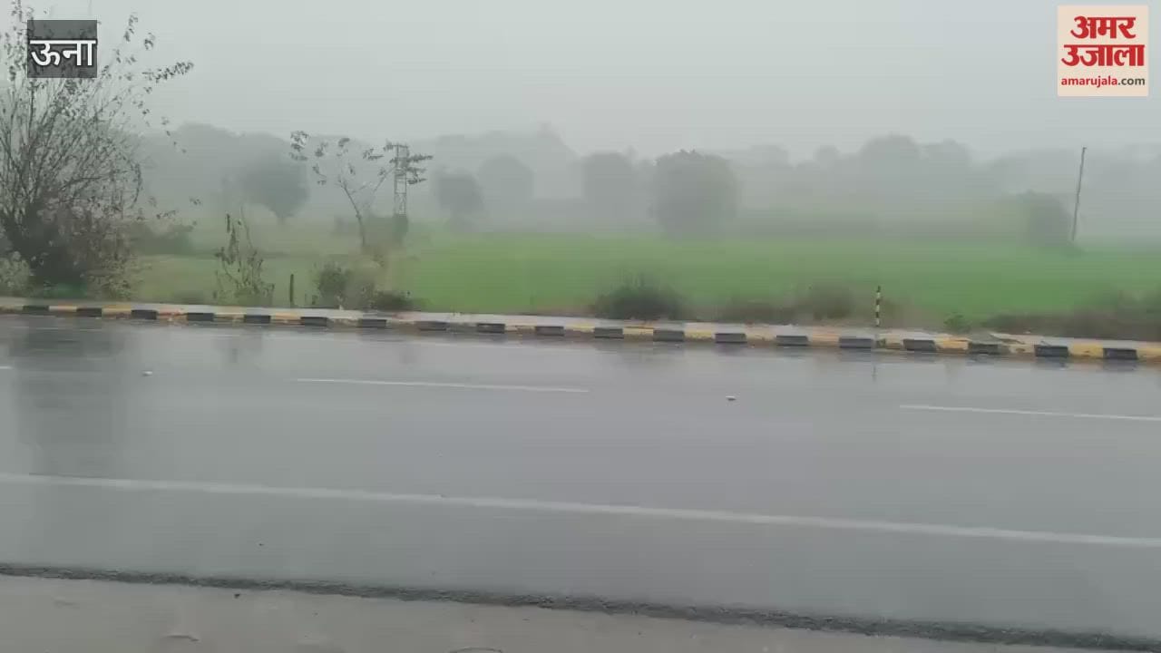 Una After the fog light rain in the Baduhi area brought smiles to the faces of the farmers