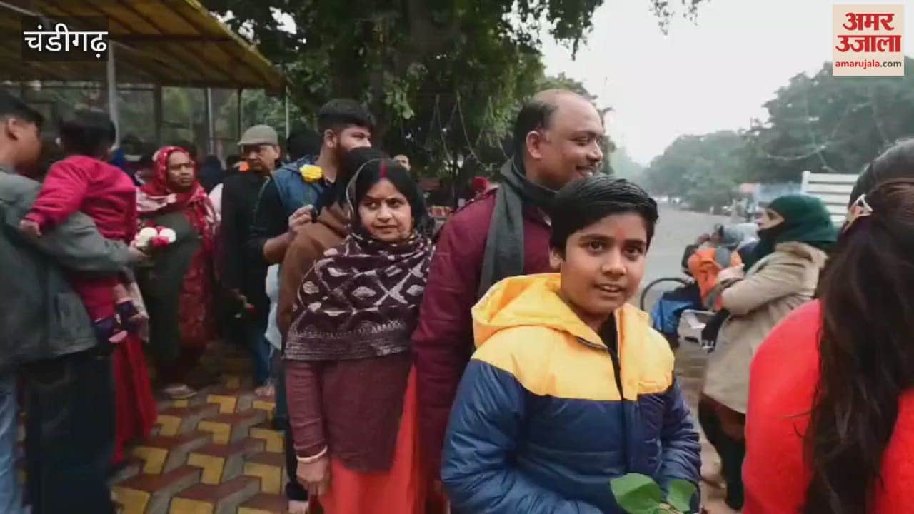 Devotees thronged the Sai Temple in Sector 29, Chandigarh, to offer prayers.