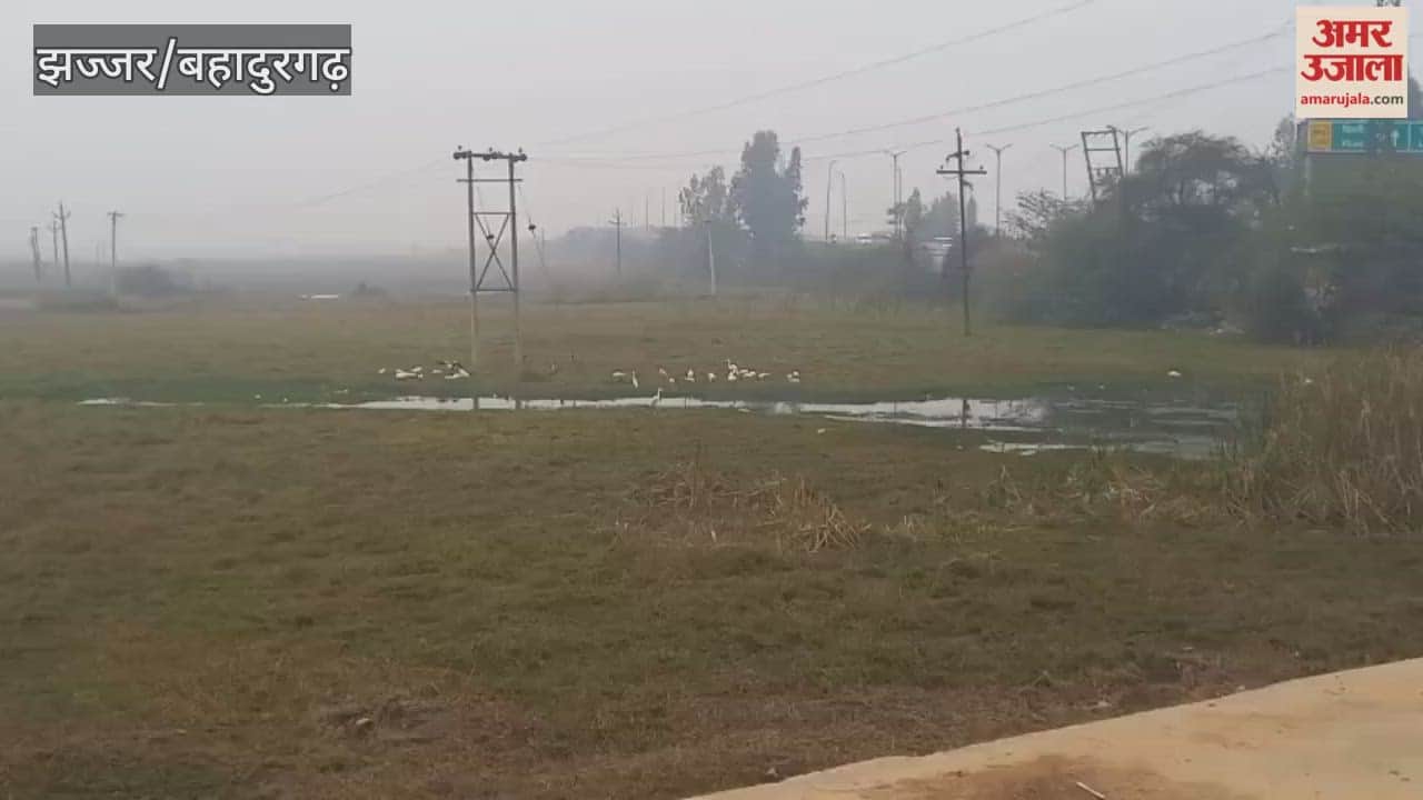 Light rain fell in Jhajjar this morning, causing discomfort due to the cold weather.