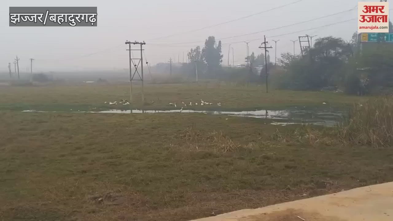 Light rain fell in Jhajjar this morning, causing discomfort due to the cold weather.