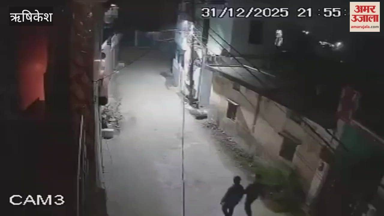 VIDEO: A bear suddenly appeared in front of two young men in Shyampur, Rishikesh; this is how they saved their lives.