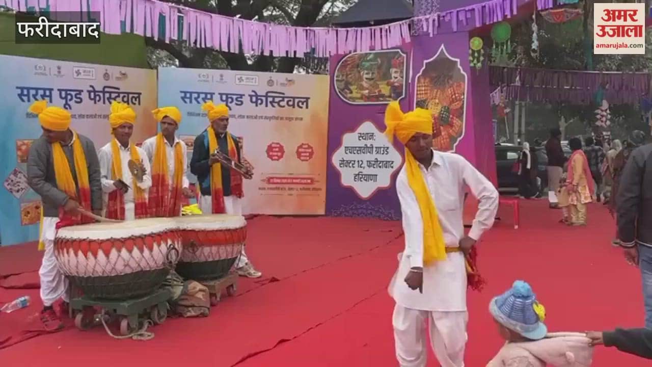 Artists from village Banchari of Palwal are attracting tourists in Faridabad Saras Fair