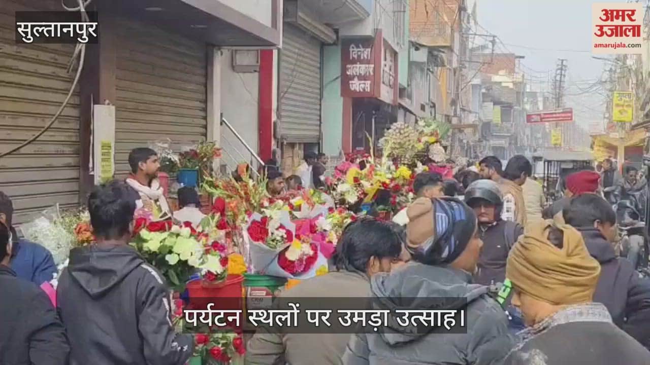 VIDEO: नववर्ष पर मंदिरों और पर्यटन स्थलों पर उमड़ा उत्साह, पूजा-अर्चना और धार्मिक अनुष्ठानों से की नए साल की शुरुआत