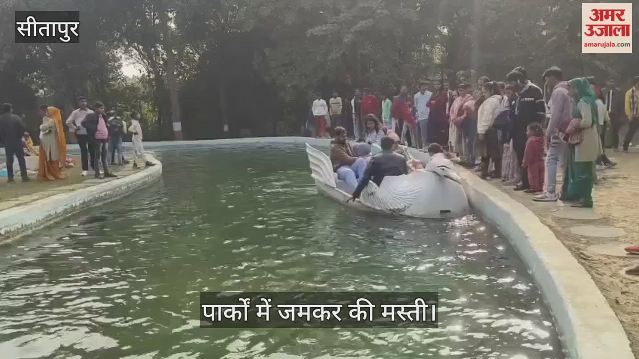 VIDEO: नए साल के जश्न में डूबे लोग, पार्कों में जमकर की मस्ती, मनाया जन्मदिन