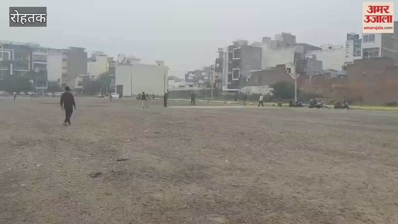 minimum temperature in Rohtak was 10 degrees, and there was light drizzle