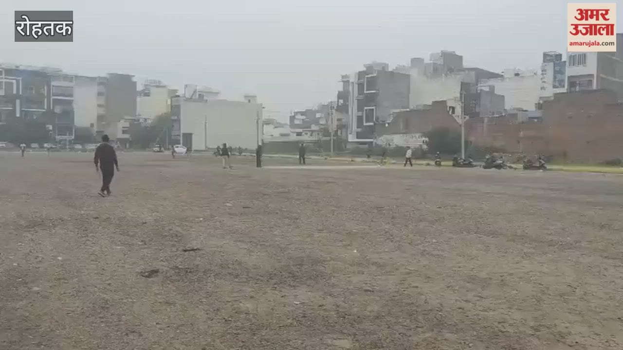 minimum temperature in Rohtak was 10 degrees, and there was light drizzle