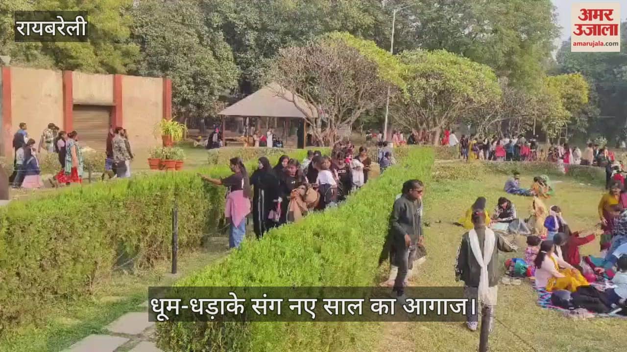 VIDEO: धूम-धड़ाके संग नए साल का आगाज, शहर के पार्क रहे गुलजार और युवाओं ने काटा केक