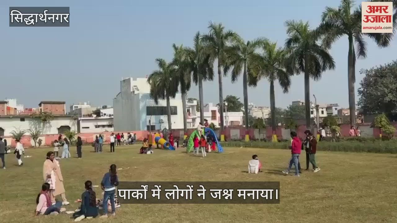 Crowds were seen in various parks of the city on the occasion of New Year.