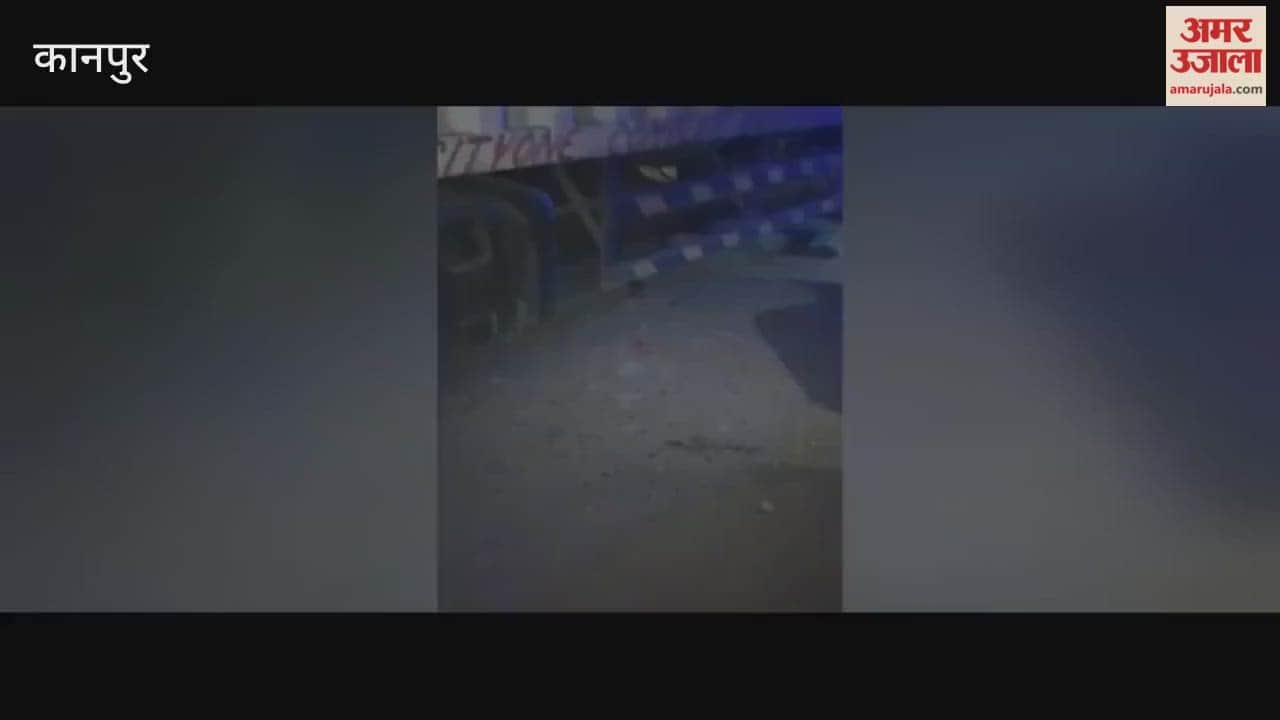 Young man killed after being crushed by a speeding container truck