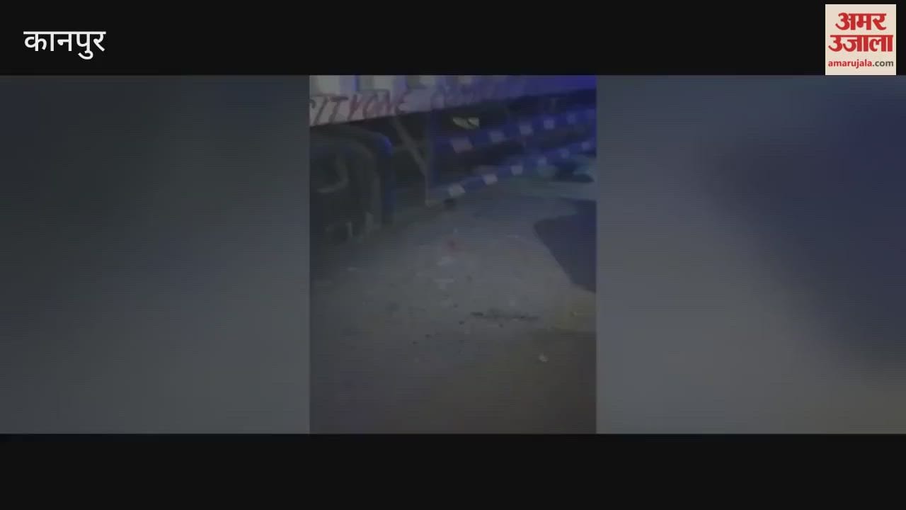 Young man killed after being crushed by a speeding container truck